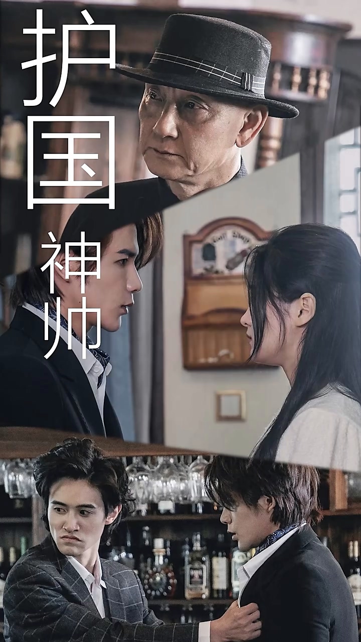 护国龙帅封面图