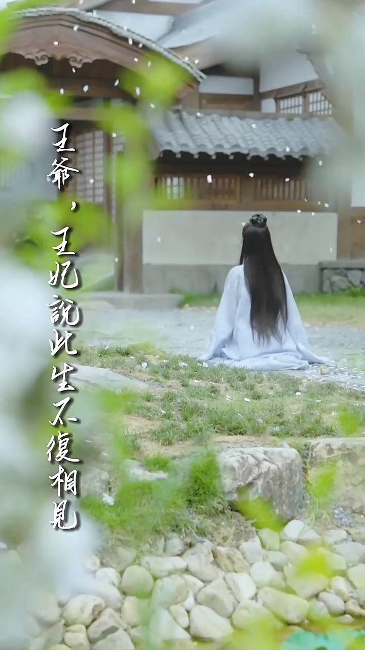 王爷，王妃说此生不复相见封面图