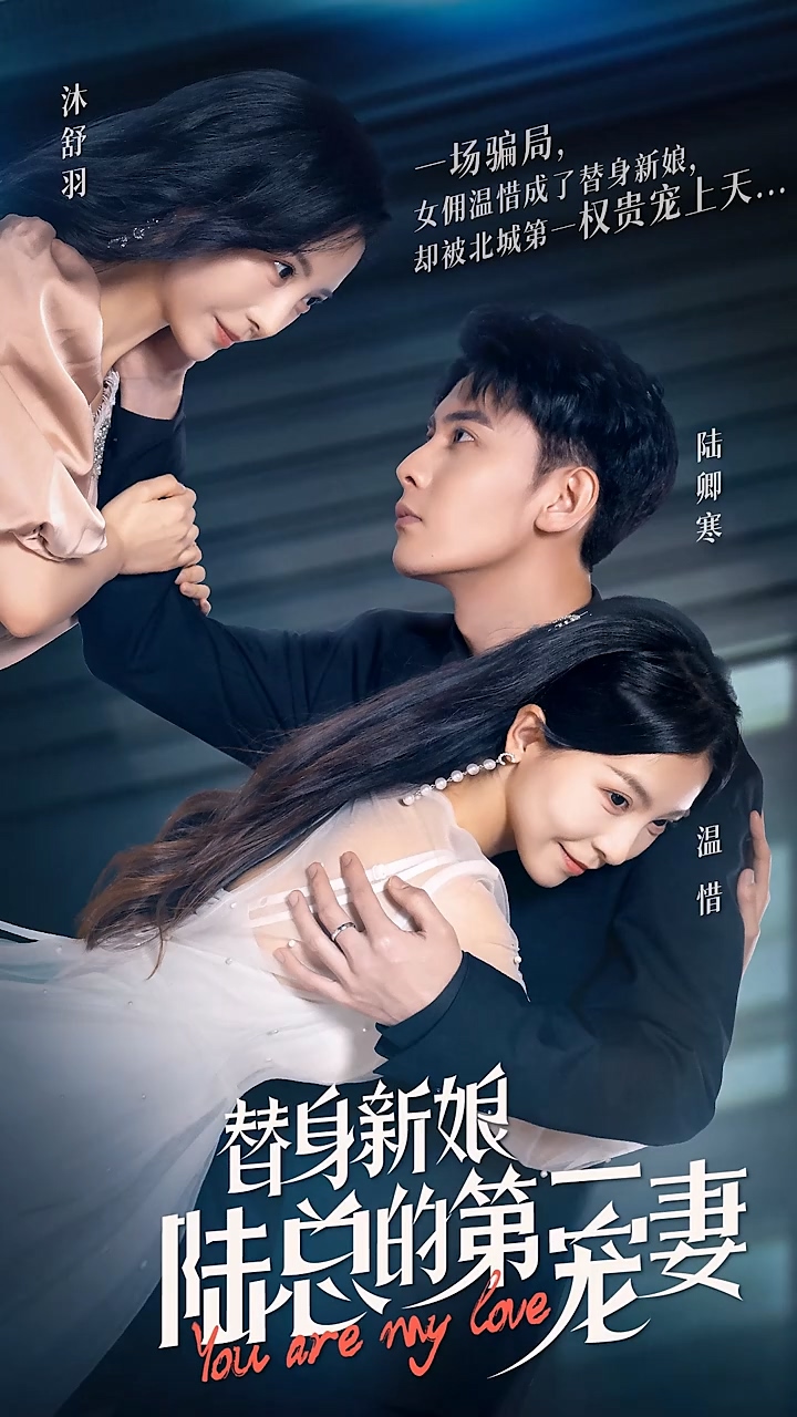 替身新娘：陆总的第一宠妻封面图