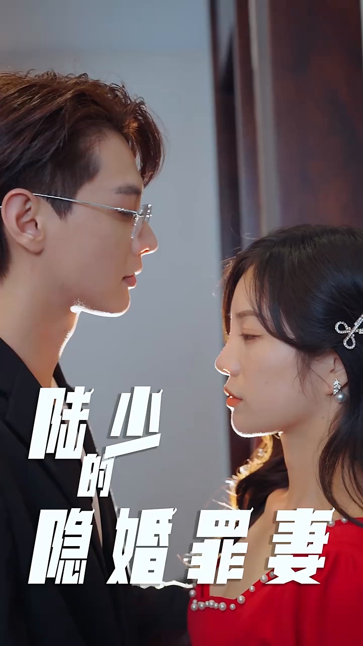 陆少的隐婚罪妻封面图