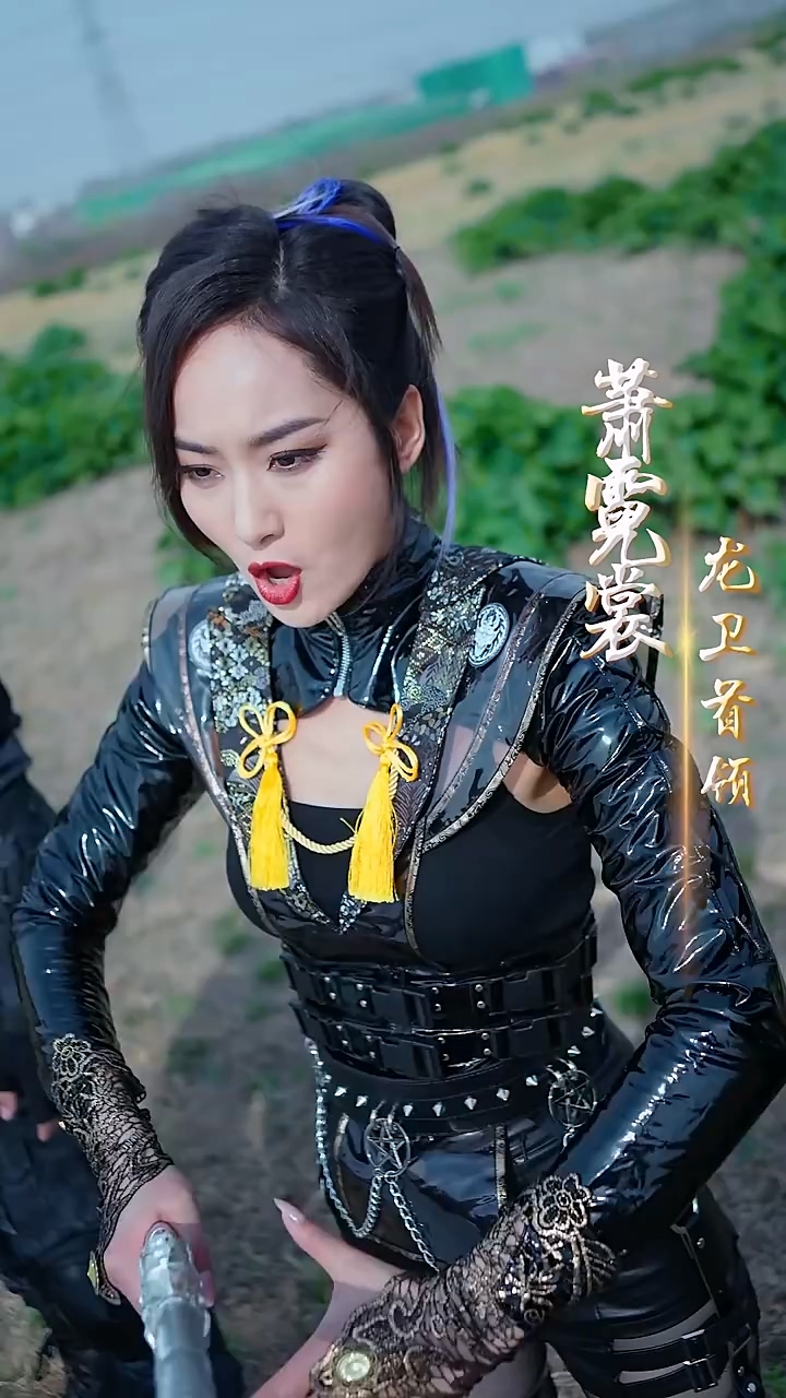 龙帝归来封面图