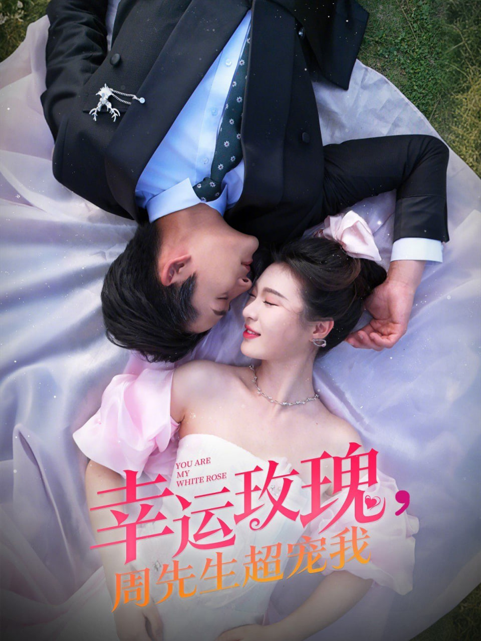 幸运玫瑰，周先生超宠我封面图