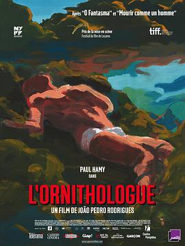 鸟类学家封面图