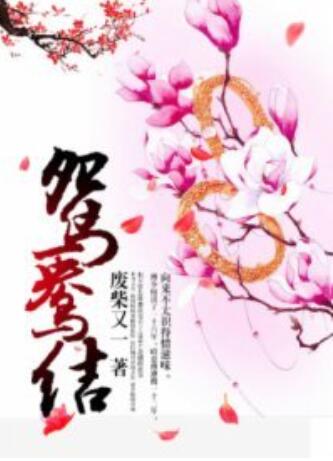鸳鸯结封面图