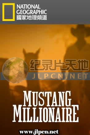 百万驯马大赛封面图