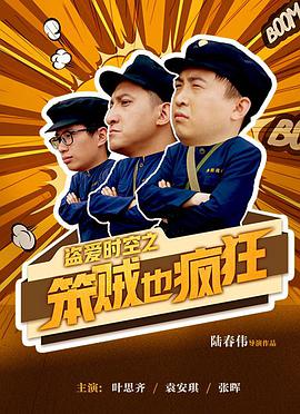 盗爱时空之笨贼也疯狂封面图