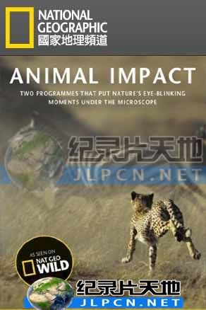 动物构造大揭密封面图