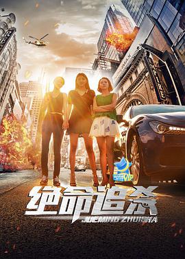 绝命追杀封面图