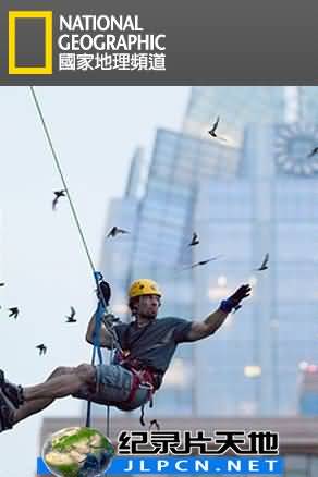 都市丛林生存法则封面图