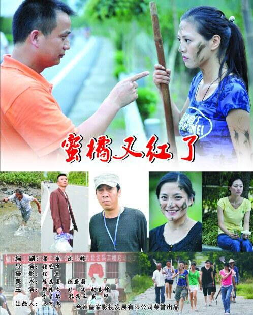 蜜橘又红了封面图