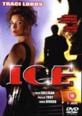 虎胆神偷封面图