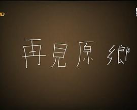 再见原乡封面图