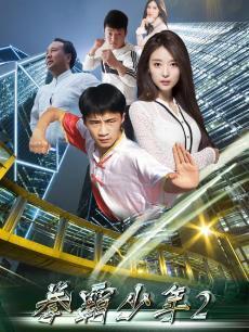 拳霸少年2封面图
