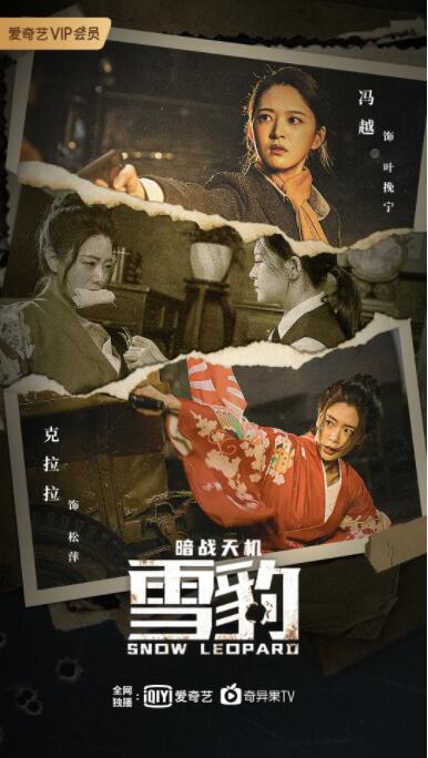 雪豹之暗战天机封面图