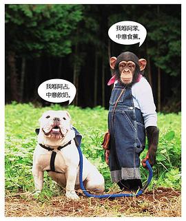 阿笨与阿占封面图