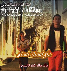 肖开提的假期封面图