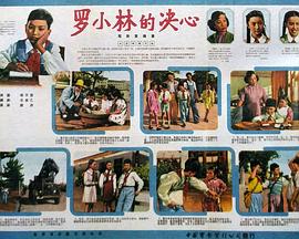 罗小林的决心封面图