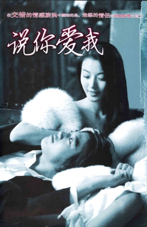 说你爱我封面图