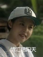 情汇艳阳天封面图
