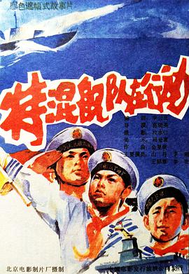 特混舰队在行动封面图