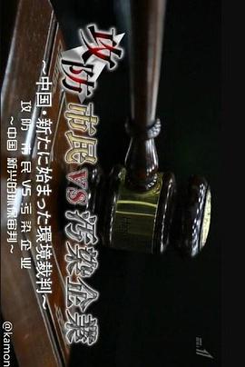 中国环境诉讼攻防封面图