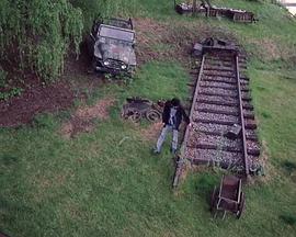 柠檬岁月封面图