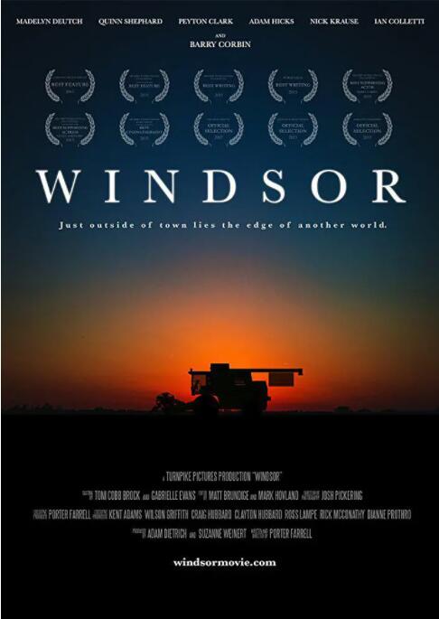 温莎之谜封面图