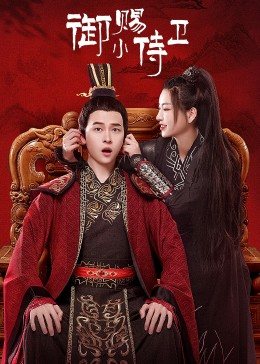 御赐小侍卫封面图