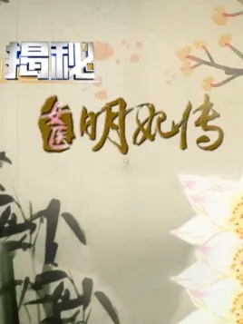 揭秘明妃传封面图