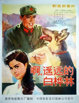 白桦林中的哨所封面图