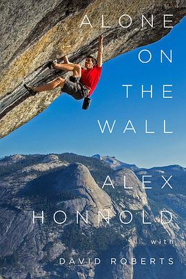 孤身绝壁封面图