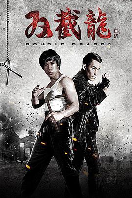 双截龙封面图