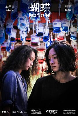 蝴蝶2021封面图