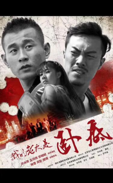 我的老大是卧底封面图