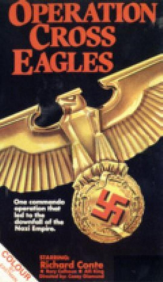 十字鹰行动封面图