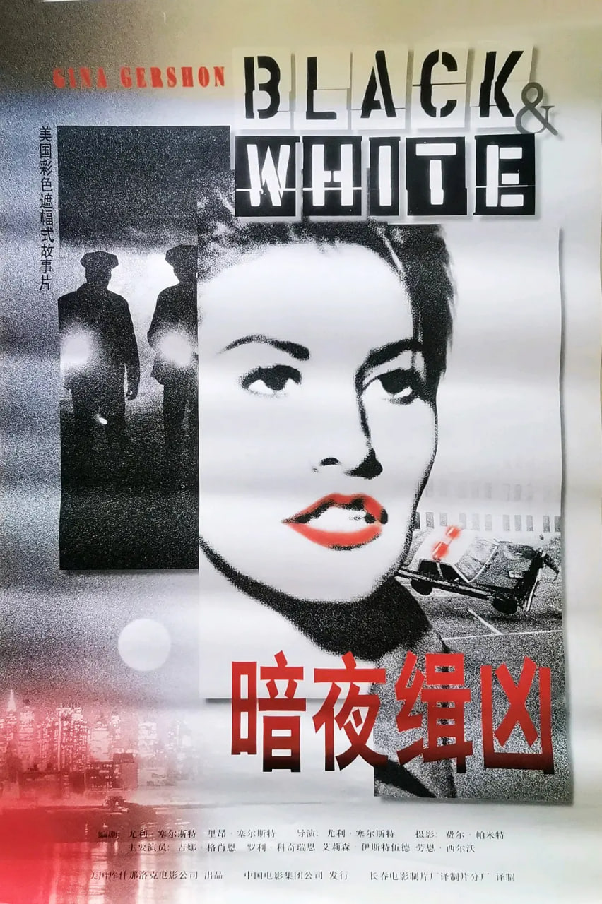 暗夜缉凶封面图