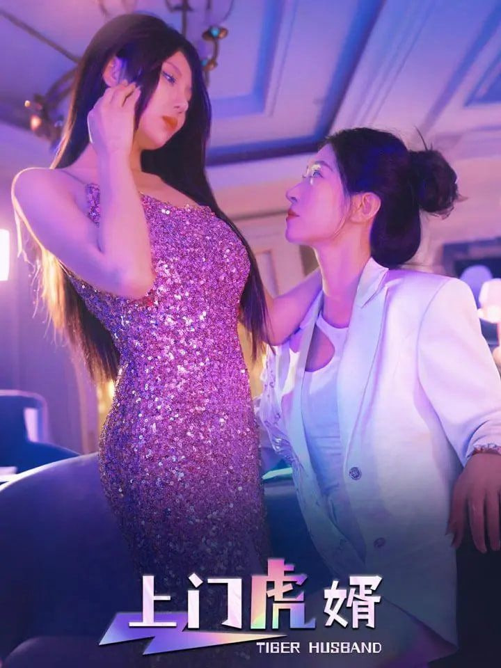 上门虎婿封面图