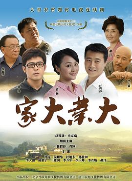 家大业大封面图