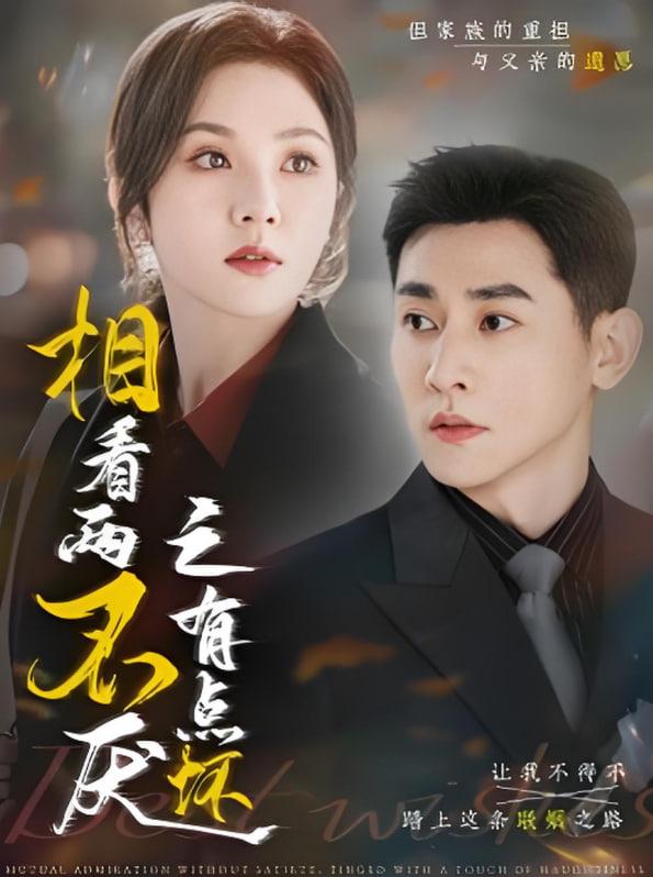 相看两不厌之有点坏封面图