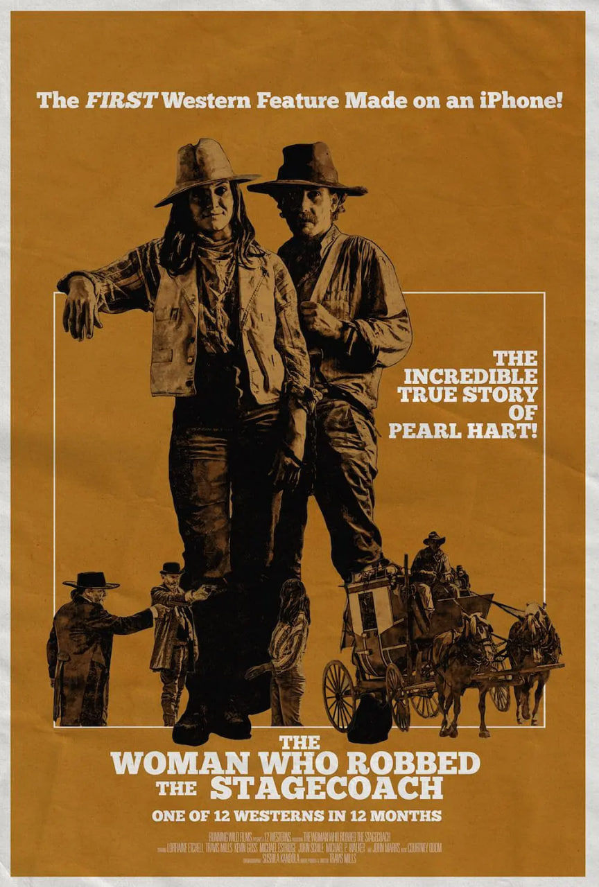 抢马车的女人封面图