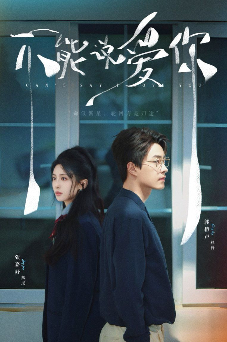 不能说爱你封面图