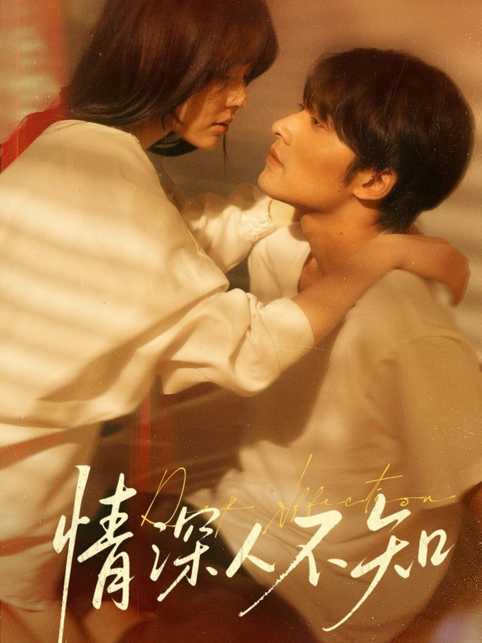 情深人不知封面图