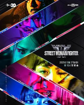世界街头女斗士3封面图