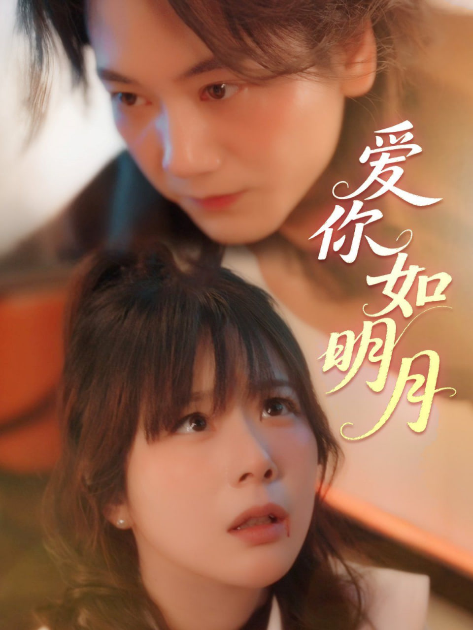 爱你如明月封面图