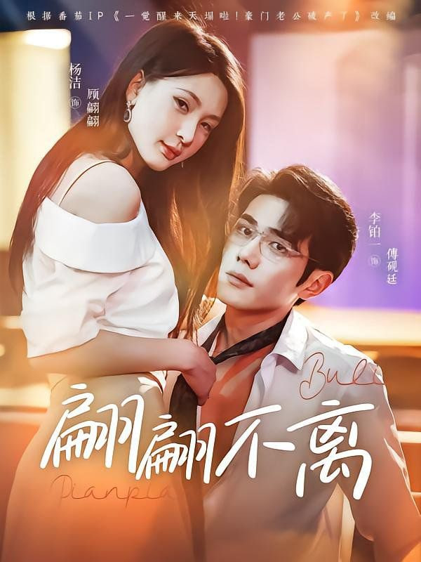 翩翩不离封面图