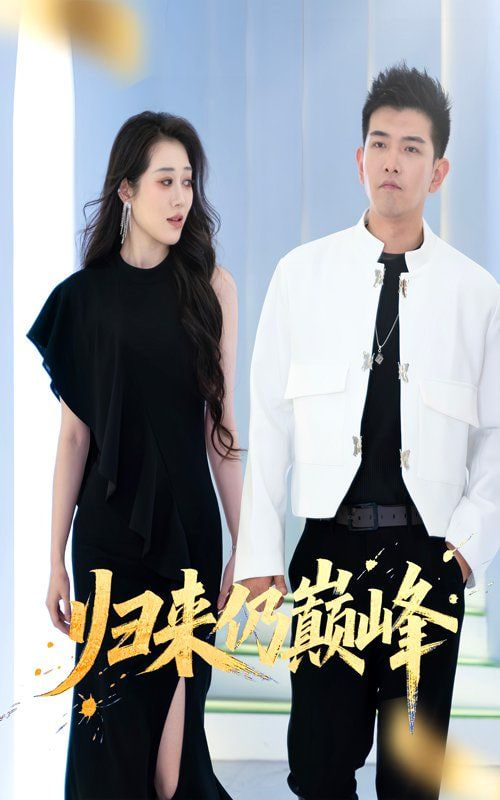 归来仍巅峰封面图