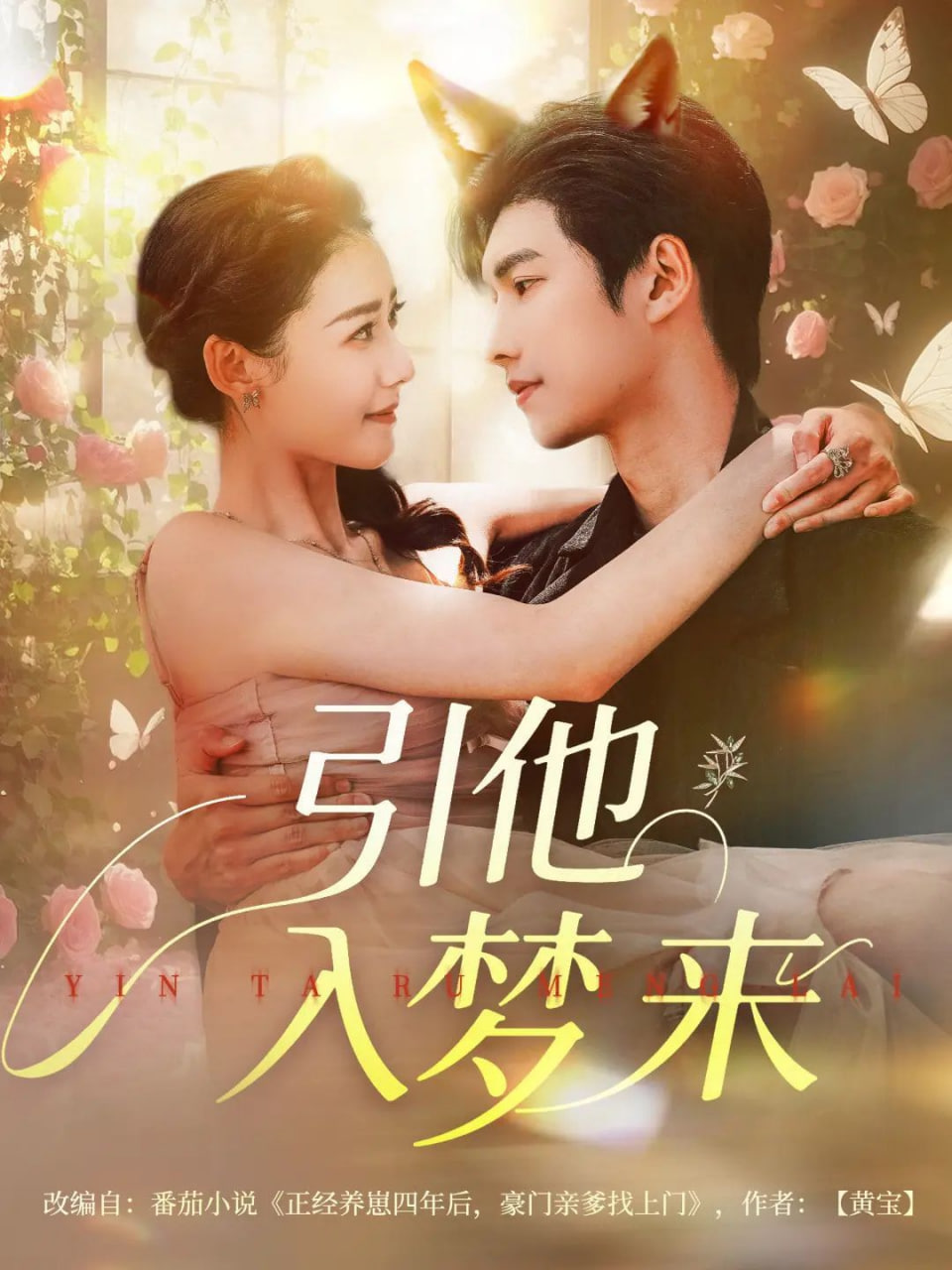 引他入梦来封面图