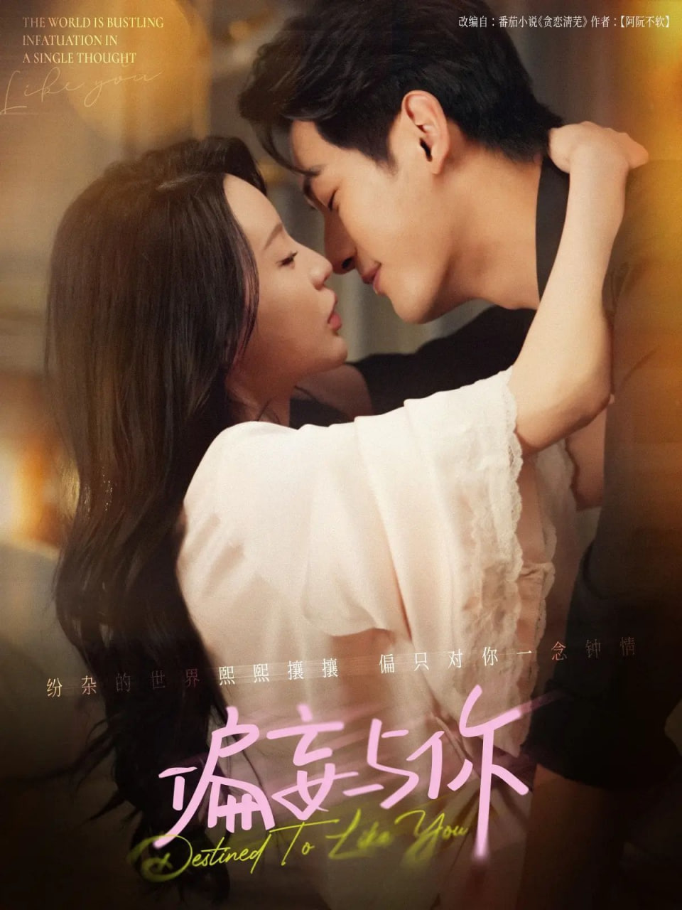 偏妄与你封面图