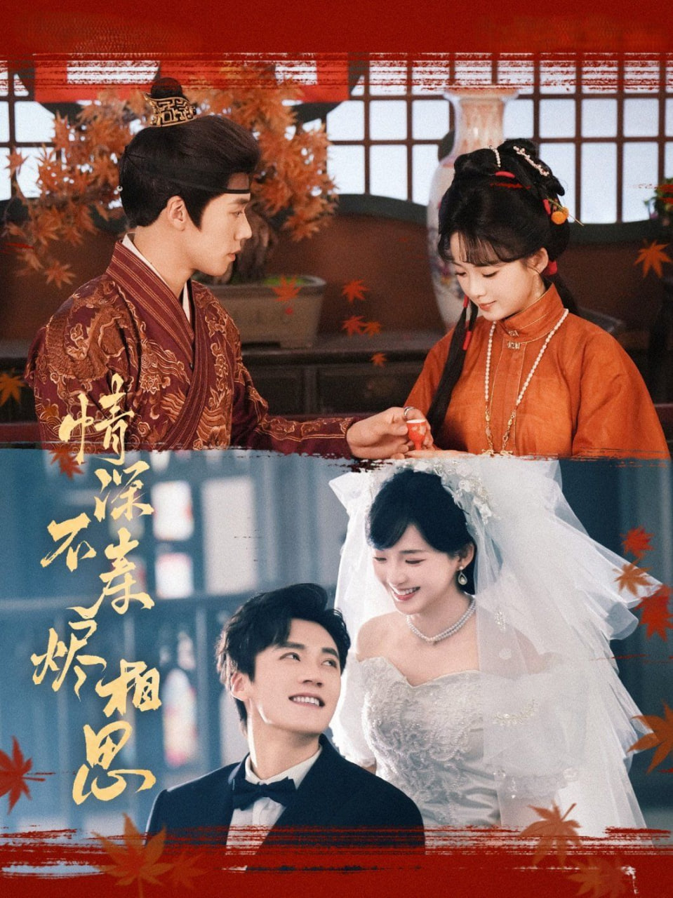 情深不寿烬相思封面图