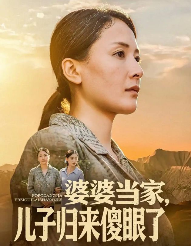 婆婆当家儿子归来傻眼了封面图